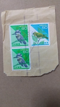 kgpςݐ؎l z80~50~@