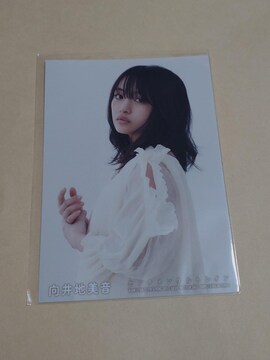 AKB48 Z`^gC n