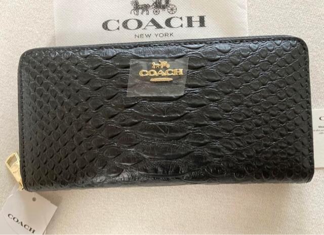 COACH Y@fB[X@z@ubN@pC\
