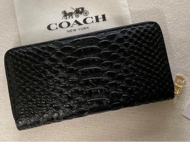 COACH Y@fB[X@z@ubN@pC\