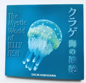 NQ C̐_ qh ʐ^W The Mystic World of JELLY FISH Eiichi Kurasawa