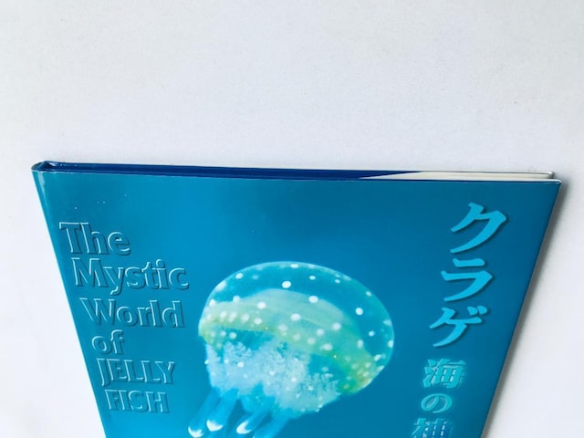 NQ C̐_ qh ʐ^W The Mystic World of JELLY FISH Eiichi Kurasawa  {/G 