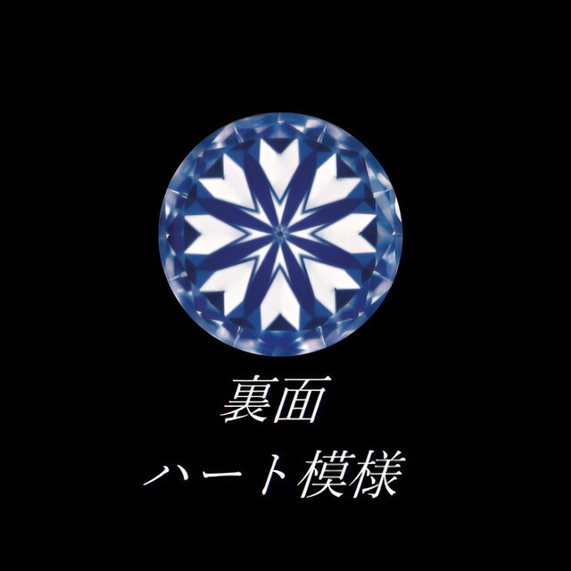  F H&C PQ S[hJ[T[WJXeXꗱCZlbNX  ANZT[/v 