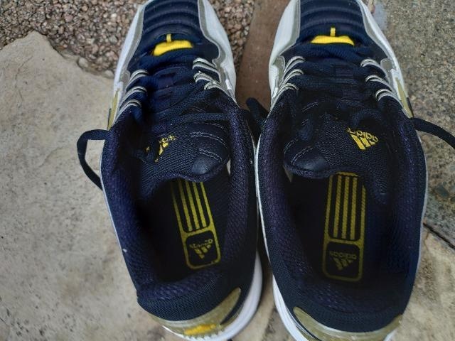 adidas Xj[J[ QTcm gpiɂ  uh 