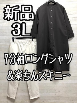Vi3LO[nOVc7炭XLj[G900