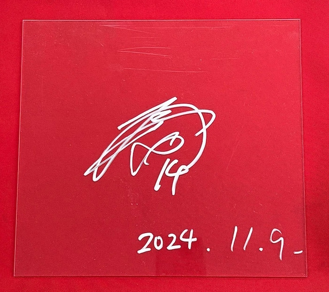 #14 { ƑI }IuUQ[ TCpl 2024/11/09 89ERSiiEMTCj