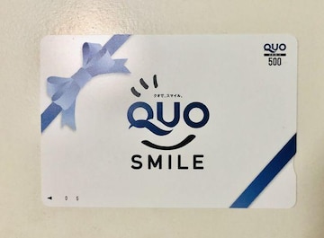  NIJ[h QUOJ[h 500~ ʏ핿 |Cg