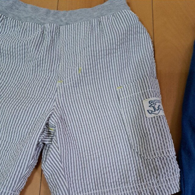 95cmj̎qpc