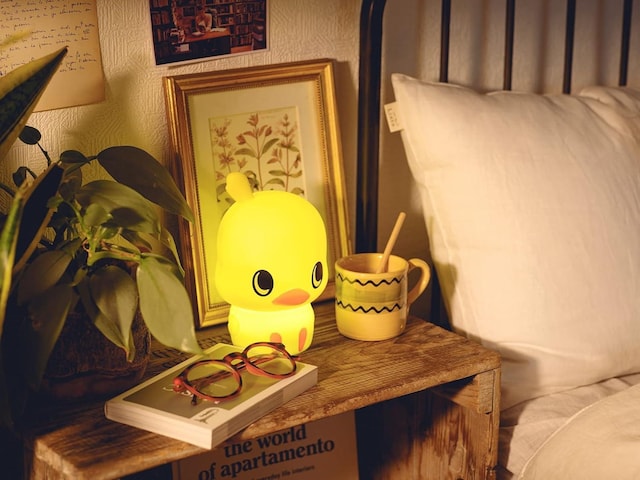 `L[Ђ悱񂨕CgBOOK@ nissin  Ɠd/AV 