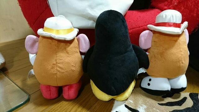 fBYj[gCXg[[ʂ3   