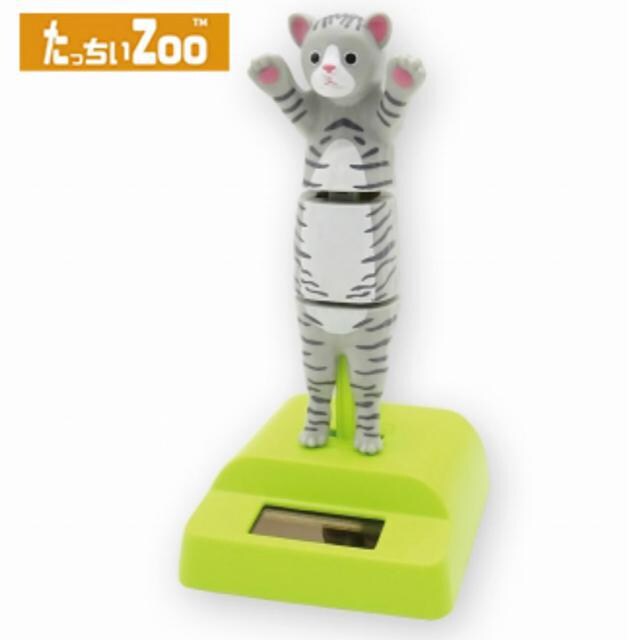 Zoo ɂ \[[ Tog