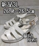 Vi3L26.0p26.5cmL4EnrT_q[D791