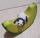p_A~ju@