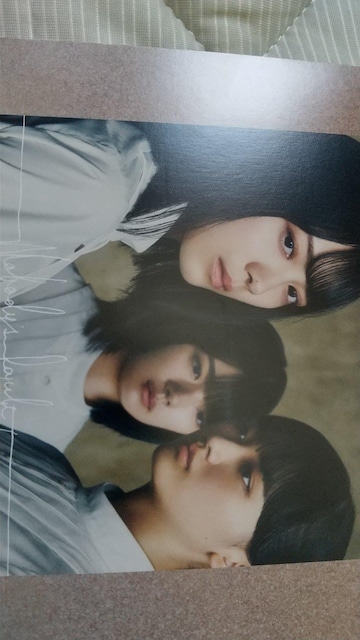 N46|XgJ[hƃV[  zr[ 