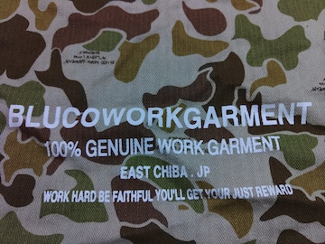 BLUCOޯٺذsurf̨bagBIKEܰwork