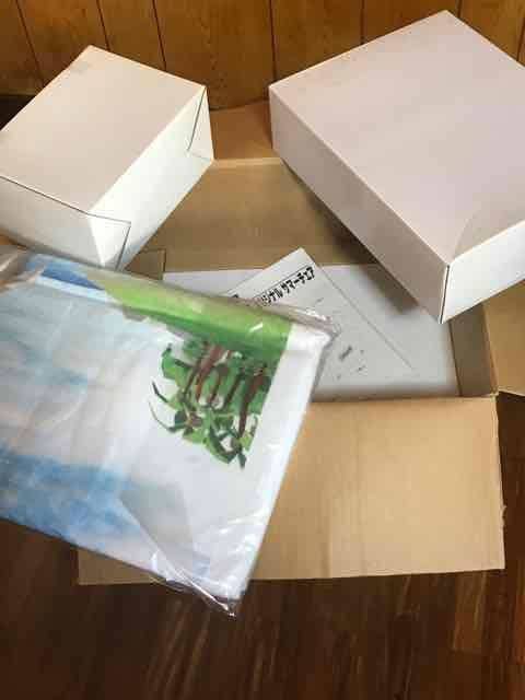 非売品！　コカ・コーラ マイクーマチェア&ベッド コカ・コーラ コールマン製 マイ クーマ サマーチェア&ベッド