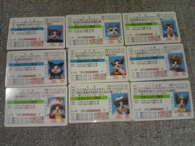 gJ Ȃ߂˂J[hK1e  \1 AJ[h2 m[}J[h18 S21Zbg  g[fBOJ[h 