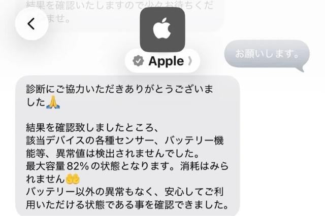 iPad Pro 12.9C` 3 256GB Xy[XOC +Apple Pencil2@Zbg  PC{/Ӌ@ 