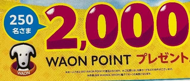 ^CAbvWAON|Cg2000p/250l5 