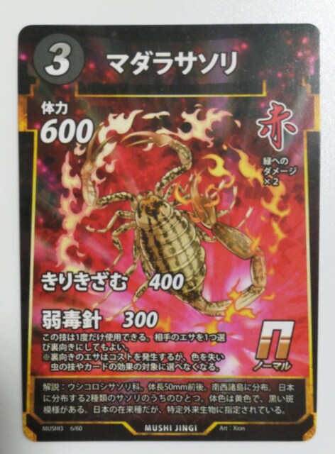 峐_@}_T\   g[fBOJ[h 