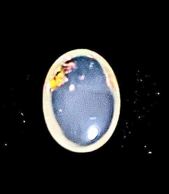 Vigp 0.75ct NX^Ip[ J{V   ANZT[/v 