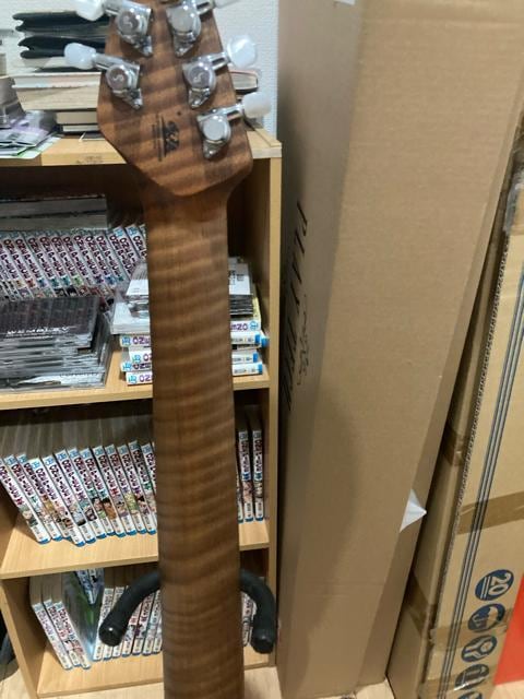 musicman JP 15-7  zr[ 