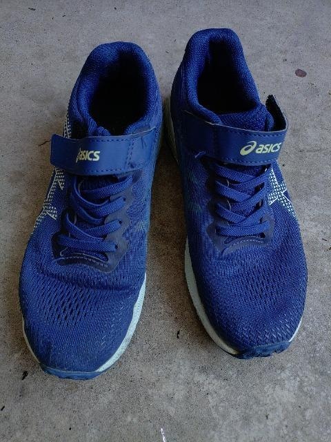 asics KIDSXj[J[ QQcm   AVbNX  ^   LbY/xr[ 