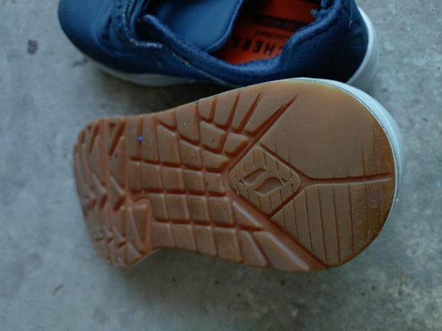 SKECHERS   KIDSXj[J[ TCYQOcm XPb`[Y ʊw ^  LbY/xr[ 