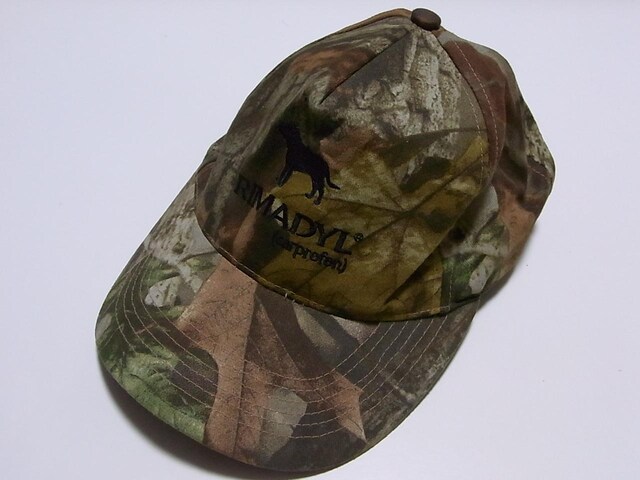 IUSAÒJtCAPLbv44   jt@bV 