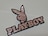 PLAYBOY vC{[C yABS N[bLdl ʎdl Gu iI