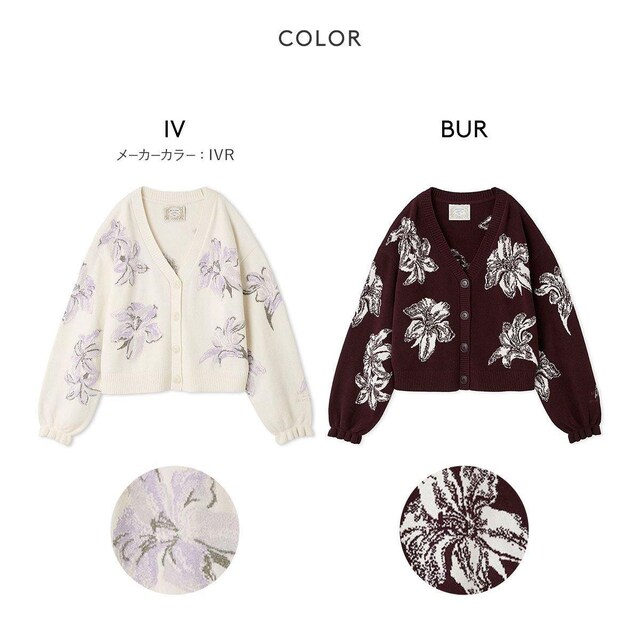 WF[gsPltbg`R{[WK[hJ[fBK  t@bV 