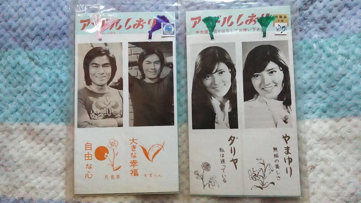 志穂美悦子 サイン入り木製パネル 昭和レトロ インテリア 志穂美悦子 サイン入り木製パネル 昭和レトロ インテリア