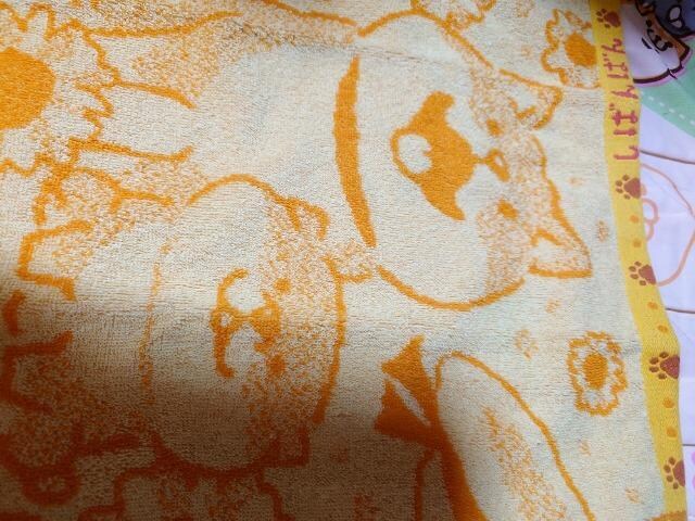 ViAtFCX^IAAhbOAVooo