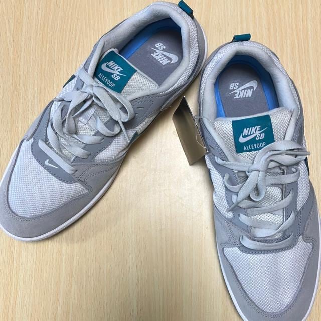 gp Vi NIKE SB ALLEYOOP 28.5cm   uh 