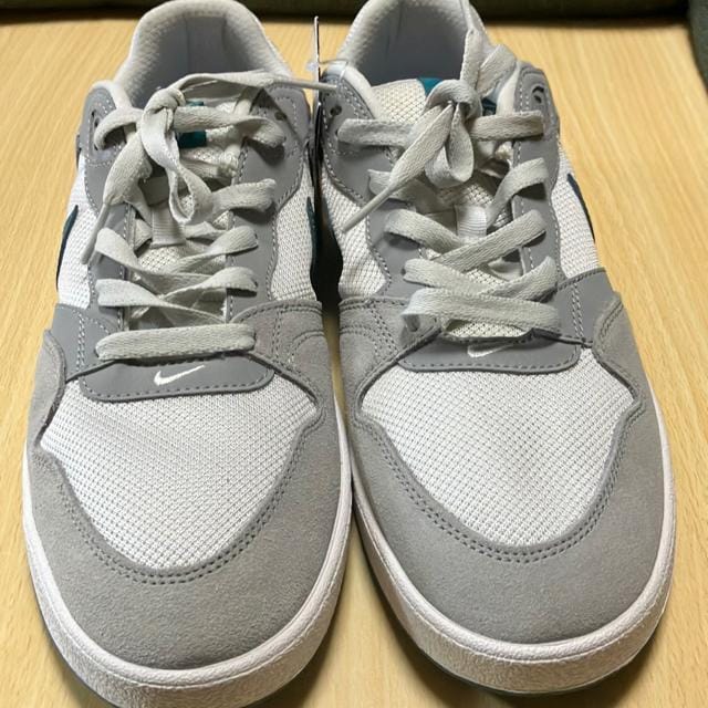 gp Vi NIKE SB ALLEYOOP 28.5cm  uh 