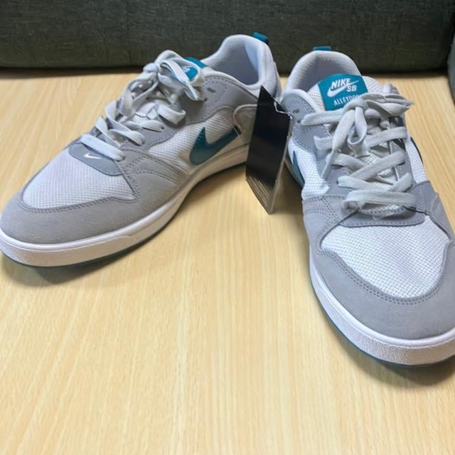 gp Vi NIKE SB ALLEYOOP 28.5cm  uh 