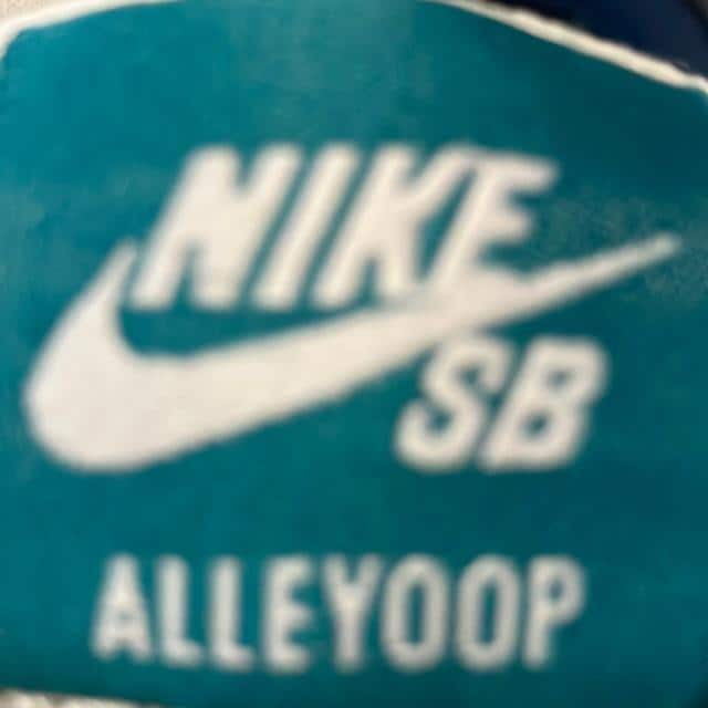 gp Vi NIKE SB ALLEYOOP 28.5cm  uh 
