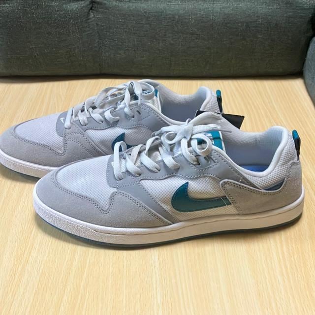 gp Vi NIKE SB ALLEYOOP 28.5cm  uh 