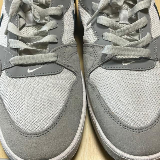 gp Vi NIKE SB ALLEYOOP 28.5cm  uh 