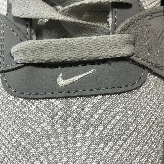 gp Vi NIKE SB ALLEYOOP 28.5cm  uh 