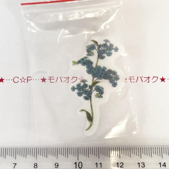 6*lCR[WV[@݌ɂȂ@22 