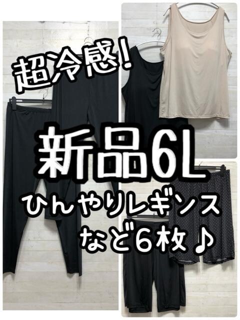 Vi6LЂ蒴⊴6􃌃MXEu^NEn[tpcG988   t@bV 