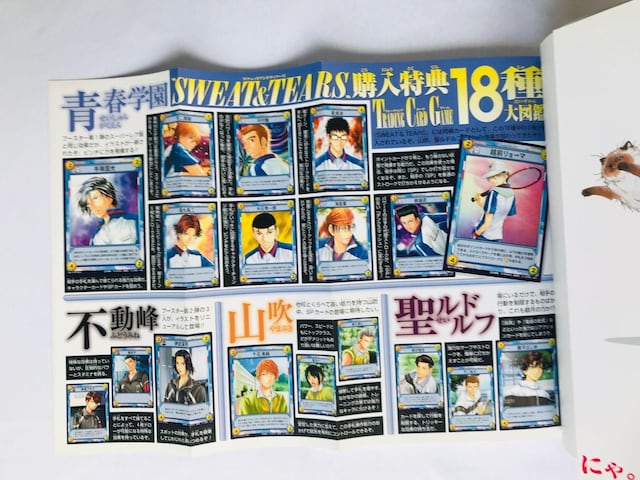 ejX̉ql@SWEAT@@TEARS@U{@KCh@Ł@J[h}Ӂ@Prince of Tennis Guide  Q[{/\tg 