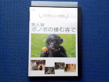DVD ސl{m{̐ސX