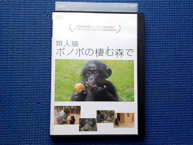 DVD ސl{m{̐ސX   CD/DVD/rfI 