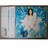 KF 原田知世 Summer breeze カバーアルバム