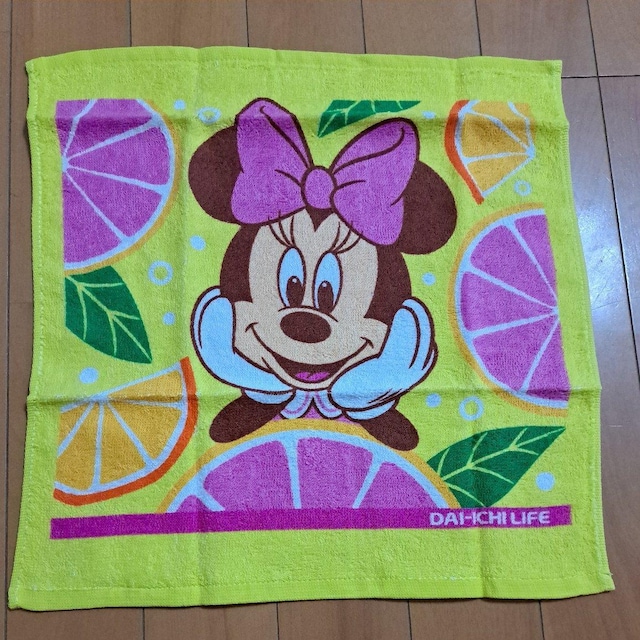 Disney  ~j[}EX̃nh^I