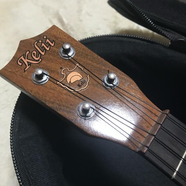A nC Kelii P[ RT[gEN C-B/M Ǖi  zr[ 