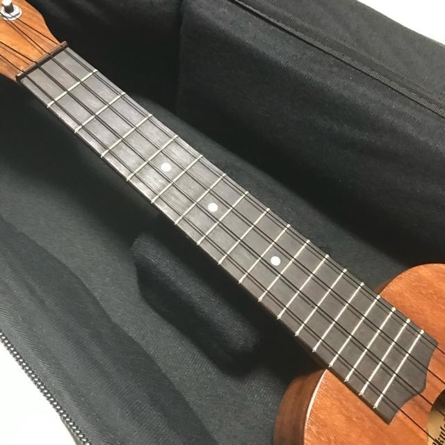 A nC Kelii P[ RT[gEN C-B/M Ǖi  zr[ 