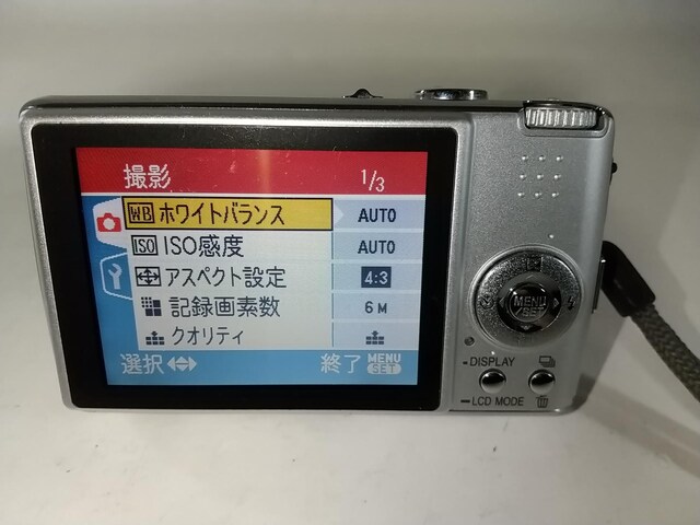 Panasonic LUMIX DMC-FX01